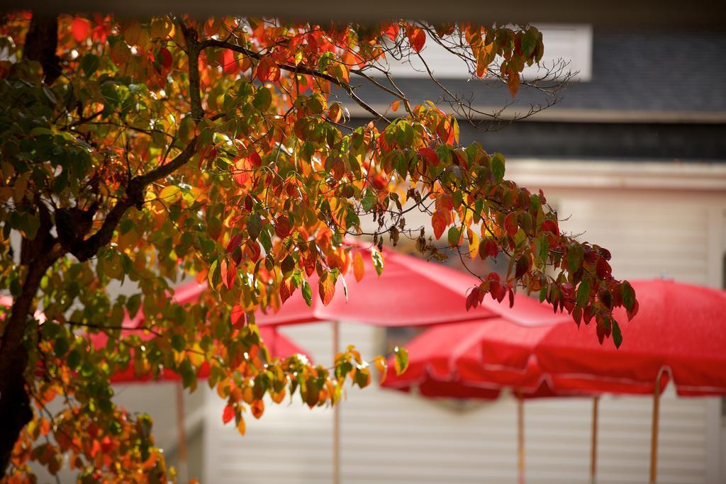 The Red Lion Inn Stockbridge Esterno foto